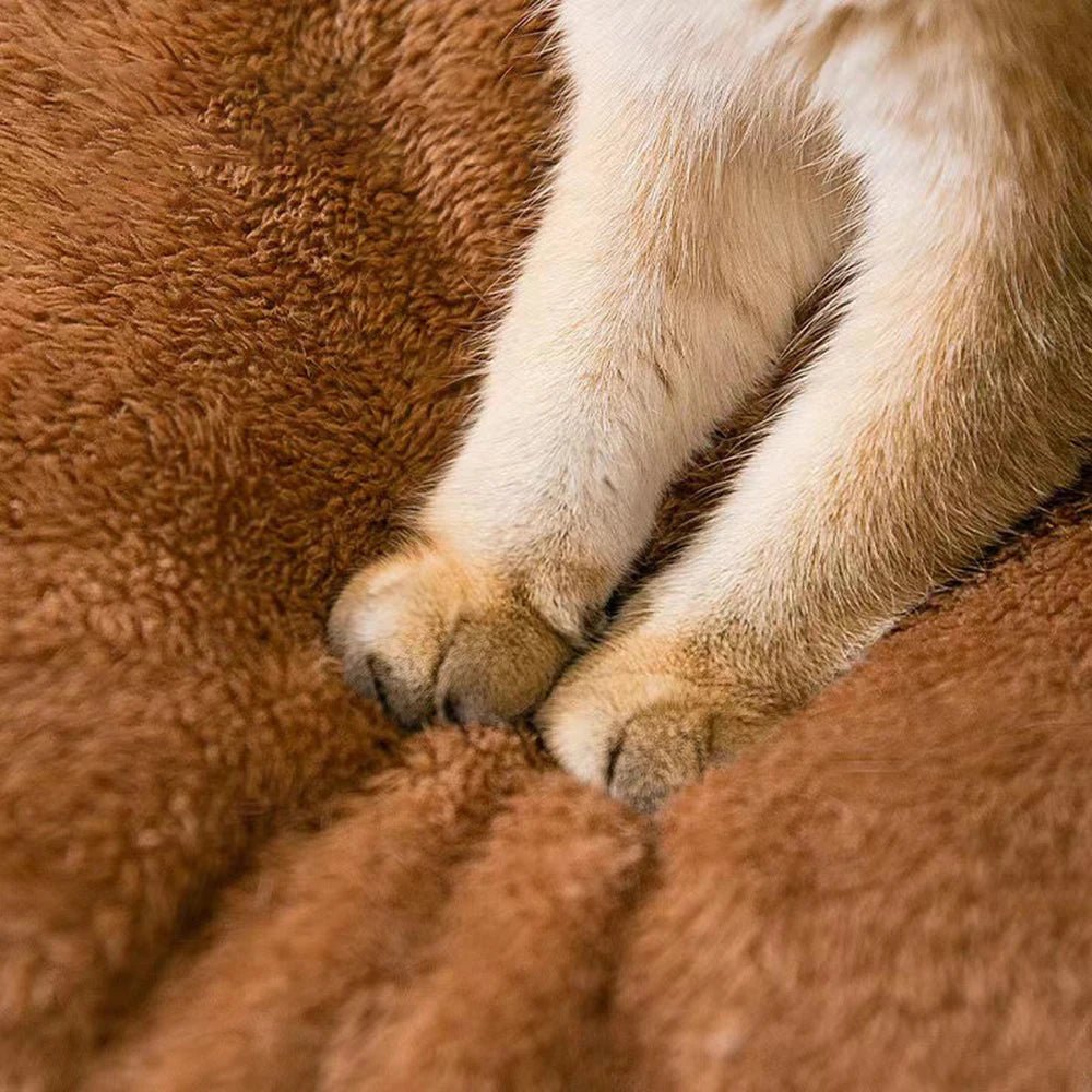 1PC Four Season Universal Enclosed Pet Bed, Wrapped Cat Bed, Dog Bed, Brown Teddy Bear Style Bed - Checkouts UK