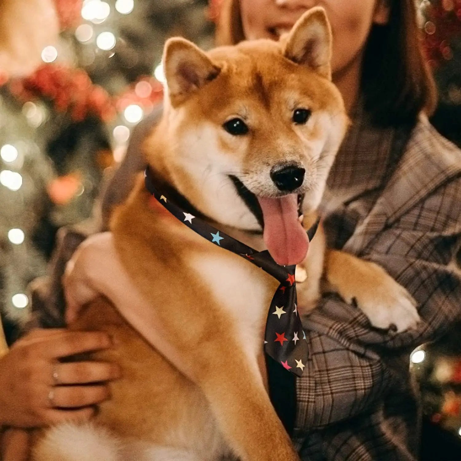 25/50/100pcs/lot Pet Cat Dog Bow Tie Lots Mix Colors Grooming Accessories Adjustable Puppy Bow Tie Products Pet Bowtie Supplies - Furbury