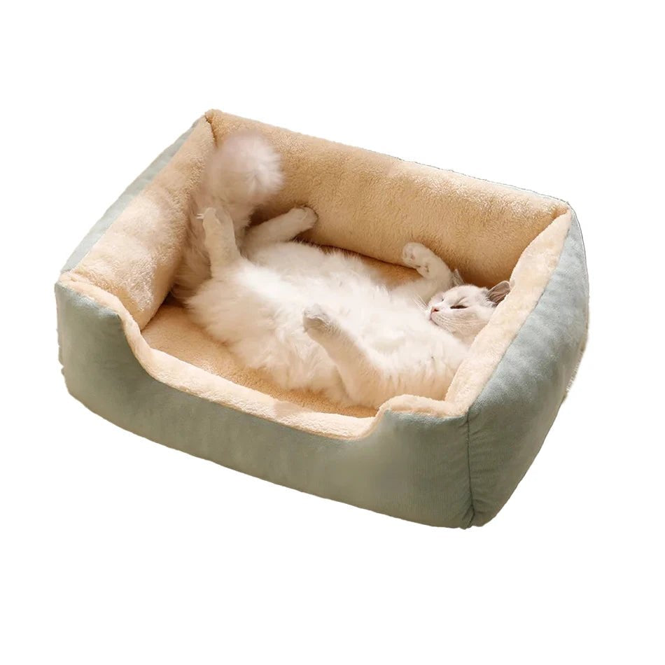 Bed for Cats Pet Products Cushions Kitten Goods Accessories Dog All Houses Supplies Things Accessory Habitats Basket House Beds - Furbury