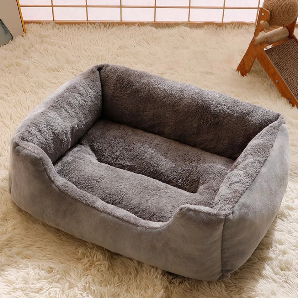 Bed for Cats Pet Products Cushions Kitten Goods Accessories Dog All Houses Supplies Things Accessory Habitats Basket House Beds - Furbury