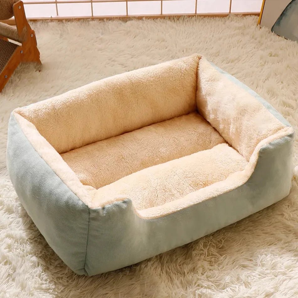 Bed for Cats Pet Products Cushions Kitten Goods Accessories Dog All Houses Supplies Things Accessory Habitats Basket House Beds - Furbury