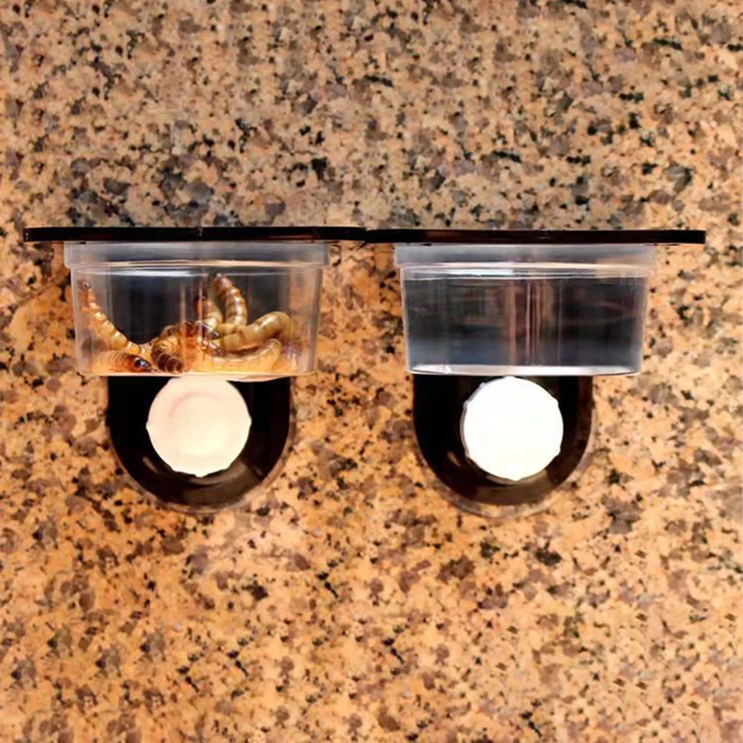 Black Plastic Gecko Feeder Ledge Space Saving Reptile Feeding Ledge for Lizard Gecko Pet Accessories Supplies - Furbury