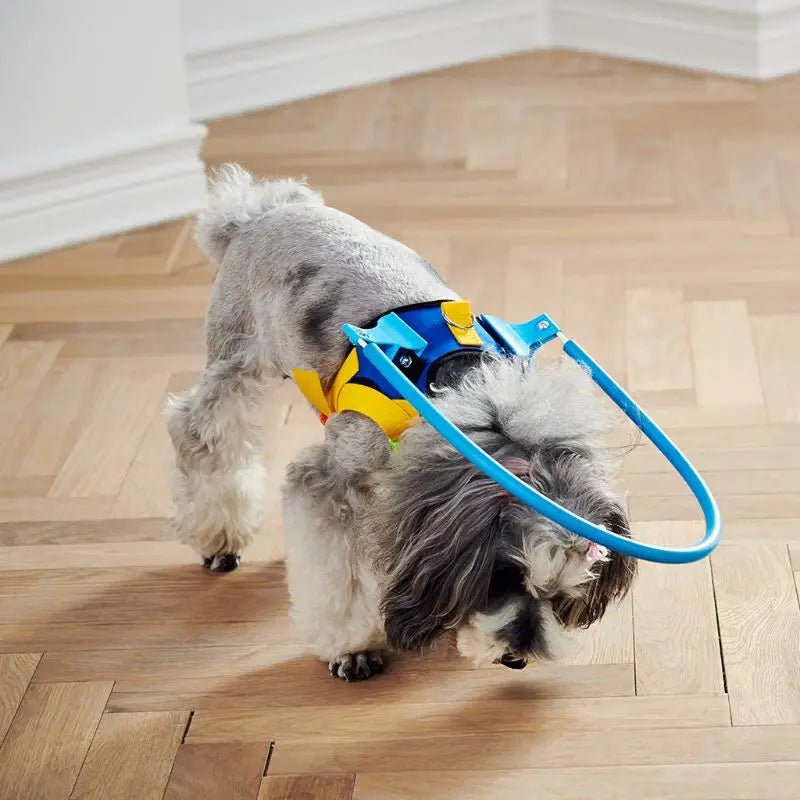 Blind Dog Harness Guiding Device Pet Safe Adjustable Blind Dog Collar Blind Dog Accessories for Small to Large Dogs - Furbury
