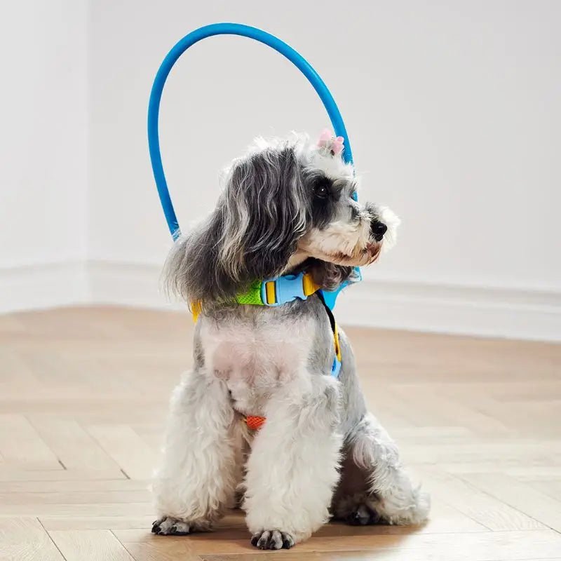 Blind Dog Harness Guiding Device Pet Safe Adjustable Blind Dog Collar Blind Dog Accessories for Small to Large Dogs - Furbury