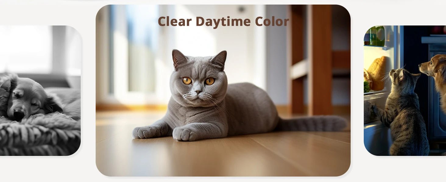 blurams Pet Camera 2K, 360° Indoor Security Camera, Dog Camera with Phone App, PTZ Cameras for Home Security Indoor, 2 - Way Audio - Furbury