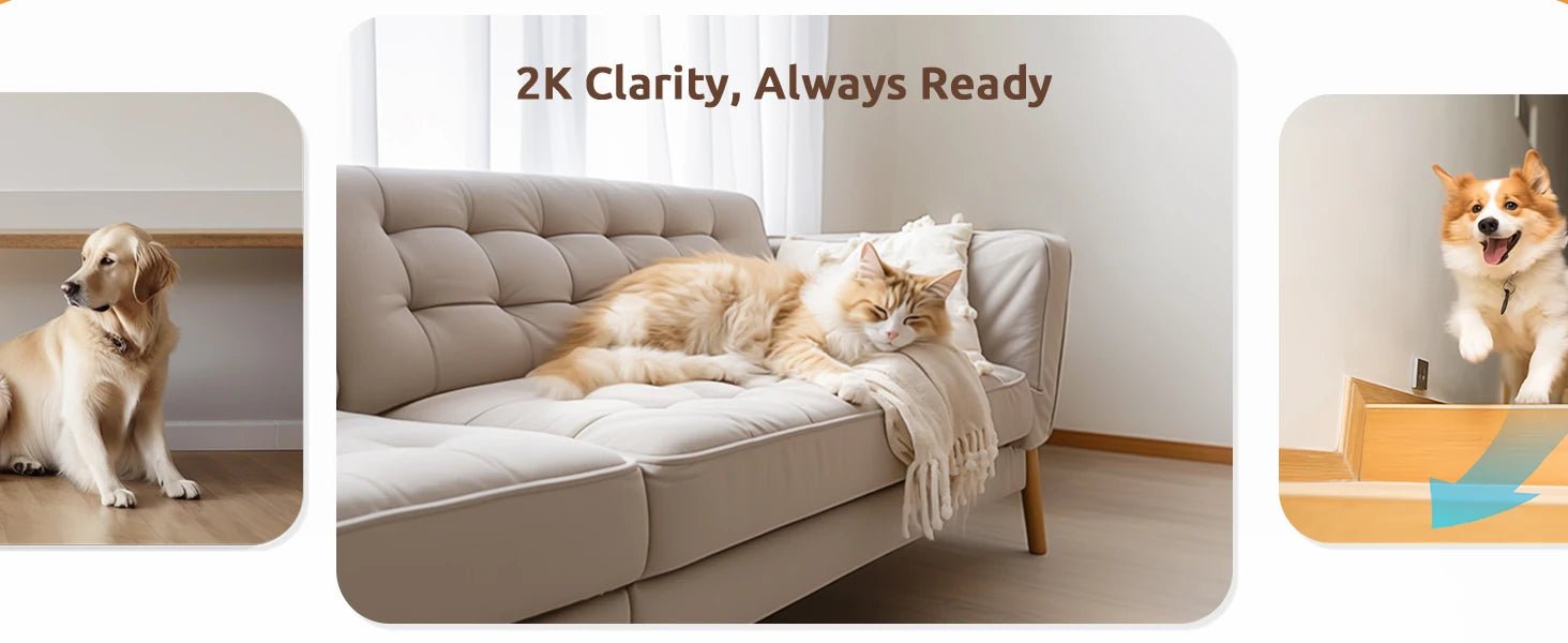 blurams Pet Camera 2K, 360° Indoor Security Camera, Dog Camera with Phone App, PTZ Cameras for Home Security Indoor, 2 - Way Audio - Furbury