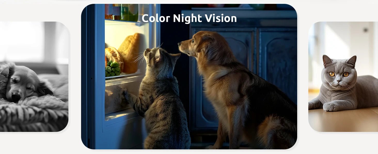 blurams Pet Camera 2K, 360° Indoor Security Camera, Dog Camera with Phone App, PTZ Cameras for Home Security Indoor, 2 - Way Audio - Furbury