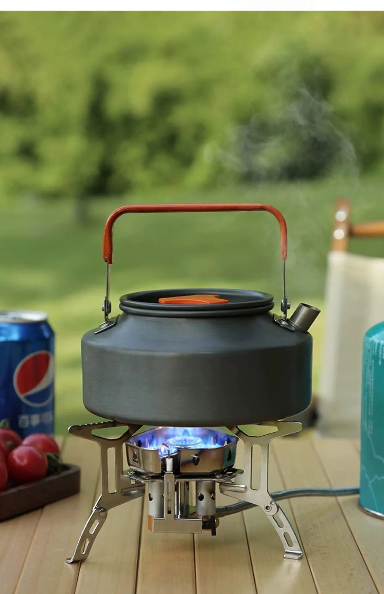 Camping Tourist Burner Big Power Gas Stove Cookware Portable Furnace Picnic Barbecue Tourism Supplies Outdoor recreation - Checkouts UK