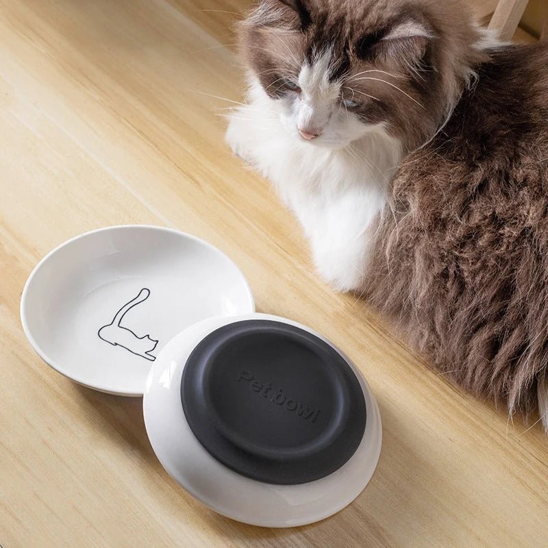Cat Plates With Silicone Anti Slip Pad Pet Cat Snack Bowl Cute Kitten Food Bowl Pet Kitten Water Bowl Pet Supplies - Checkouts UK