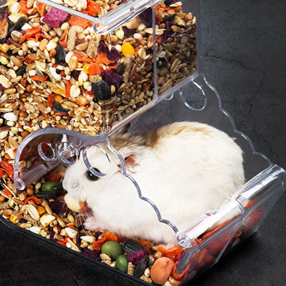 Cute Hamster Samll Animal Automatic Pet Food Feeder Transparent Safe Food Bowl - Furbury
