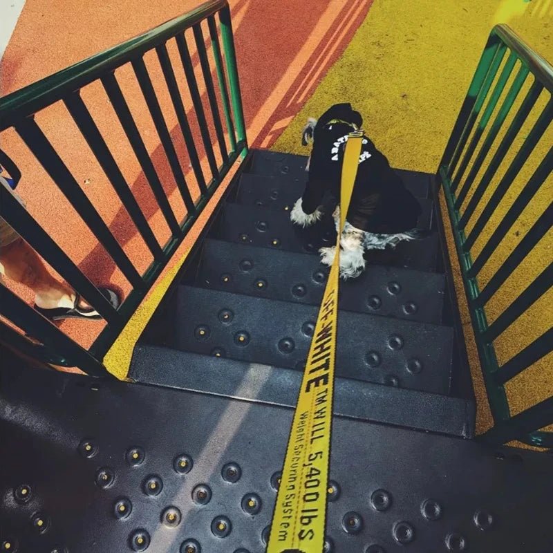 GALAXYDOG 3.5cm Luxury Dog Leash Off INS White 1.6m Nylon,Collar Set,Fashion Neon Dog Collar,Wedding Dog,Tactical dog leash - Furbury