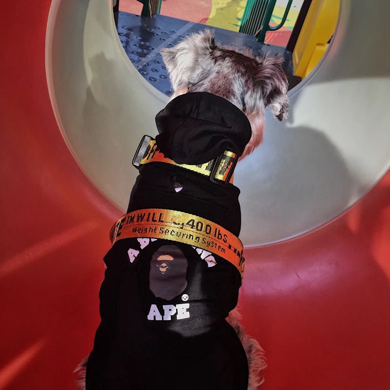 GALAXYDOG 3.5cm Luxury Dog Leash Off INS White 1.6m Nylon,Collar Set,Fashion Neon Dog Collar,Wedding Dog,Tactical dog leash - Furbury