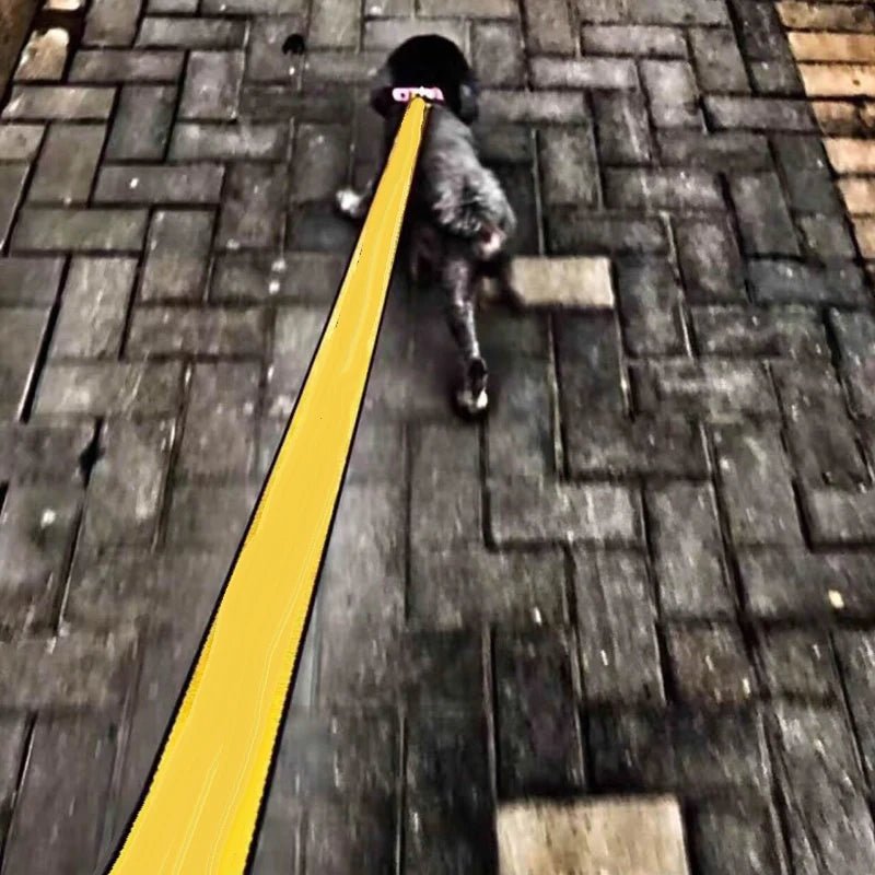 GALAXYDOG 3.5cm Luxury Dog Leash Off INS White 1.6m Nylon,Collar Set,Fashion Neon Dog Collar,Wedding Dog,Tactical dog leash - Furbury