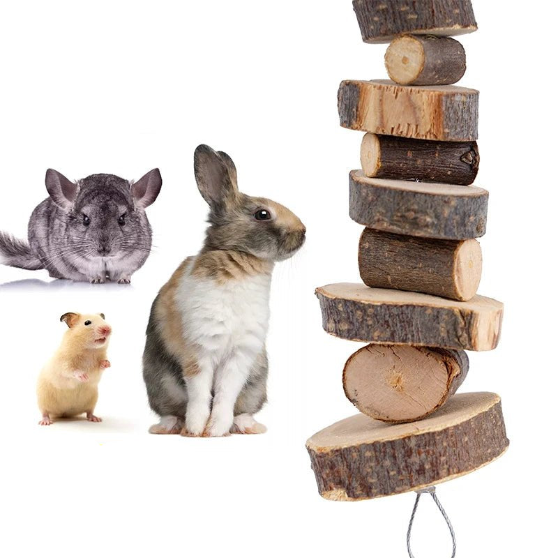 Hamster Rabbit Chew Toy Natural Wood Sticks for Small Pet Chinchilla Guinea Pigs Squirrels Tooth Grinding Toy Pet Supplies - Furbury