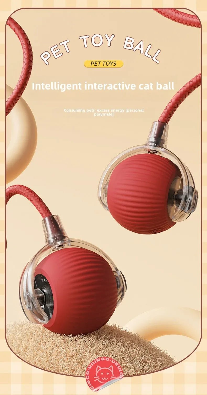 Interactive Dog Toys Rechargeable Pet Interactive Toys Electric Cats Ball Automatic Rolling Fake Tail Ball Dog Cats Toy - Furbury