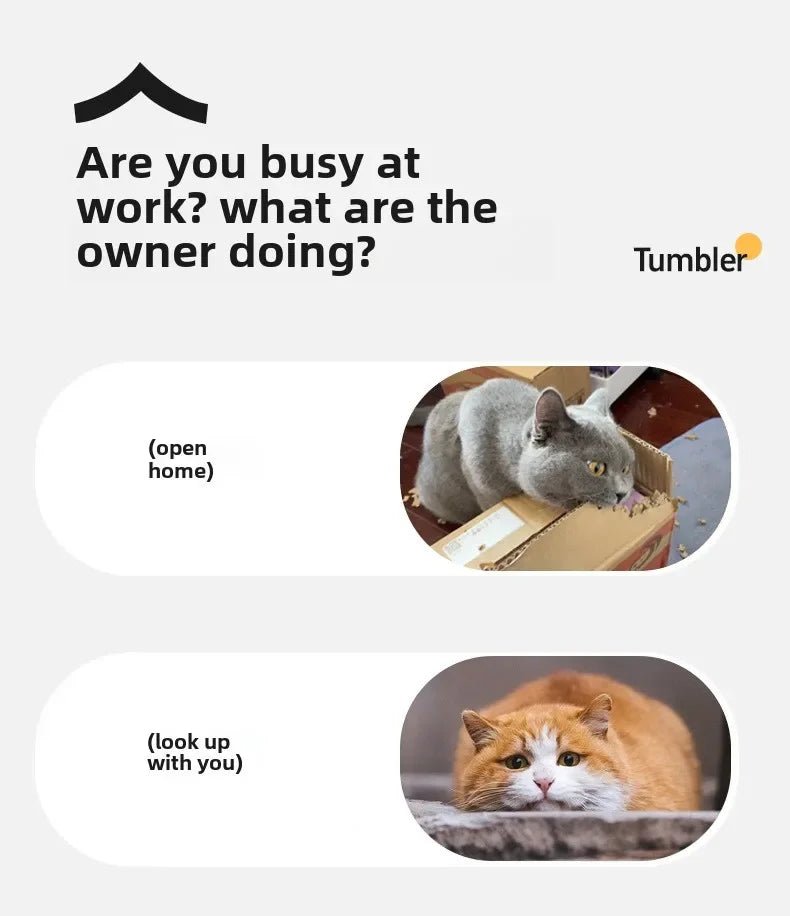 Interactive Dog Toys Rechargeable Pet Interactive Toys Electric Cats Ball Automatic Rolling Fake Tail Ball Dog Cats Toy - Furbury