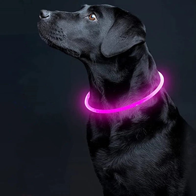 Led Dog Collar Luminous Usb Cat Dog Collar 3 Modes Led Light Glowing Loss Prevention LED Collar For Dogs Pet Dog Accessories - Checkouts UK