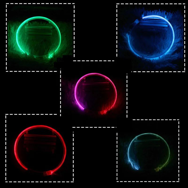 Led Dog Collar Luminous Usb Cat Dog Collar 3 Modes Led Light Glowing Loss Prevention LED Collar For Dogs Pet Dog Accessories - Checkouts UK