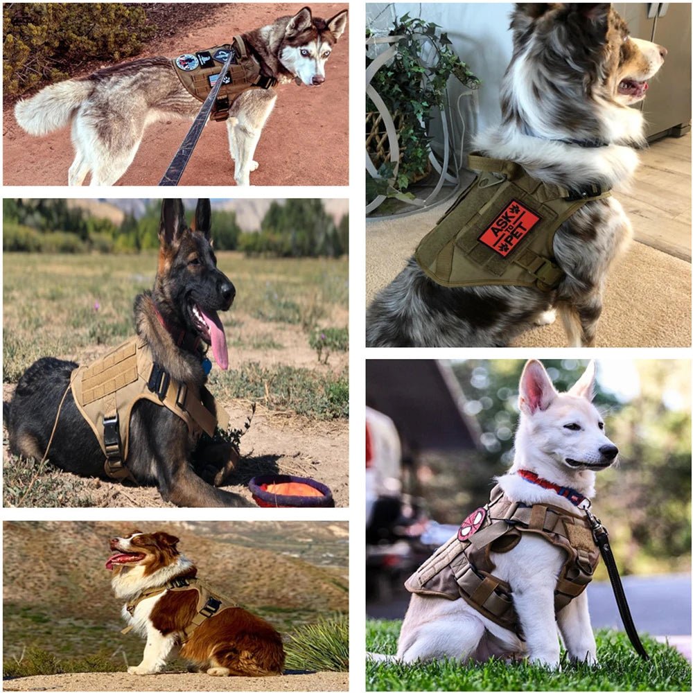 Military Large Dog Harness Training Pet Vest for French Bulldog German Shepherd Malinois Tactical Harnesses For Dogs Accessories - Checkouts UK