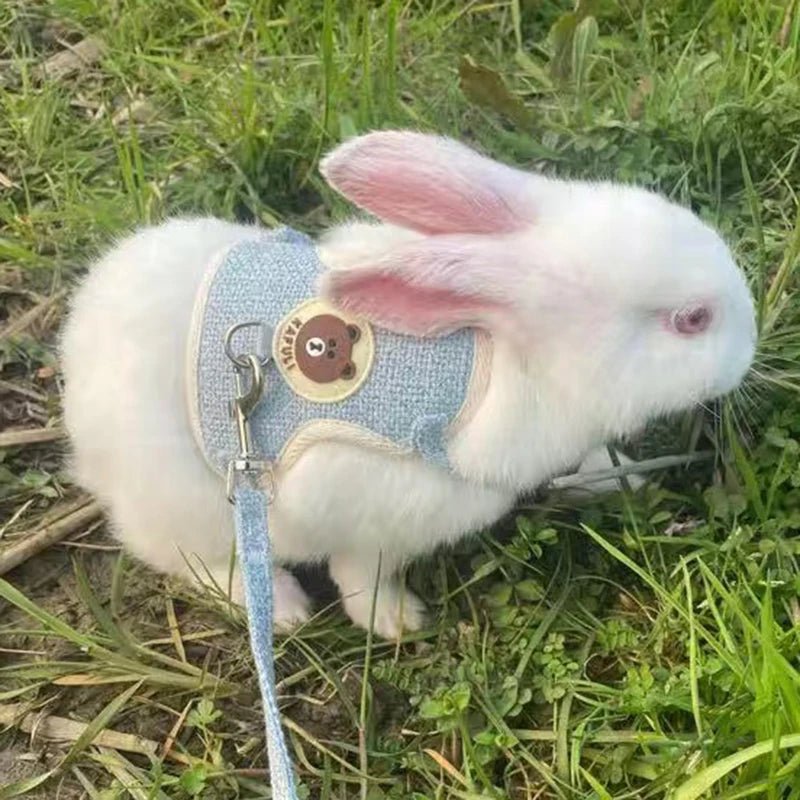 Newest Cute Rabbit Harness and Leash Set Bunny Pet Accessories Vest Harnesses Rabbit Leashes for Outdoor Walking Pets Supplies - Furbury