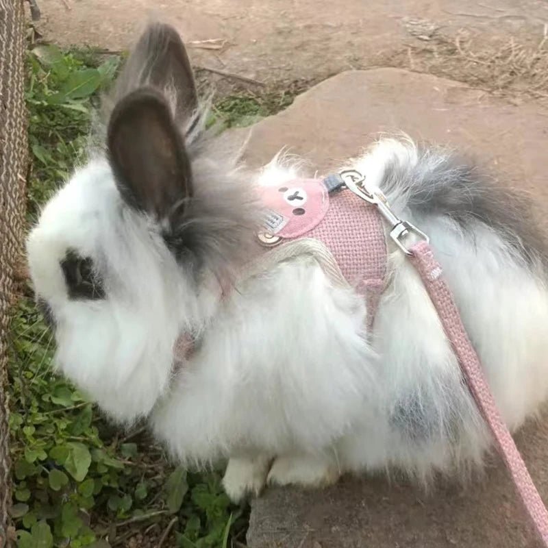 Newest Cute Rabbit Harness and Leash Set Bunny Pet Accessories Vest Harnesses Rabbit Leashes for Outdoor Walking Pets Supplies - Furbury