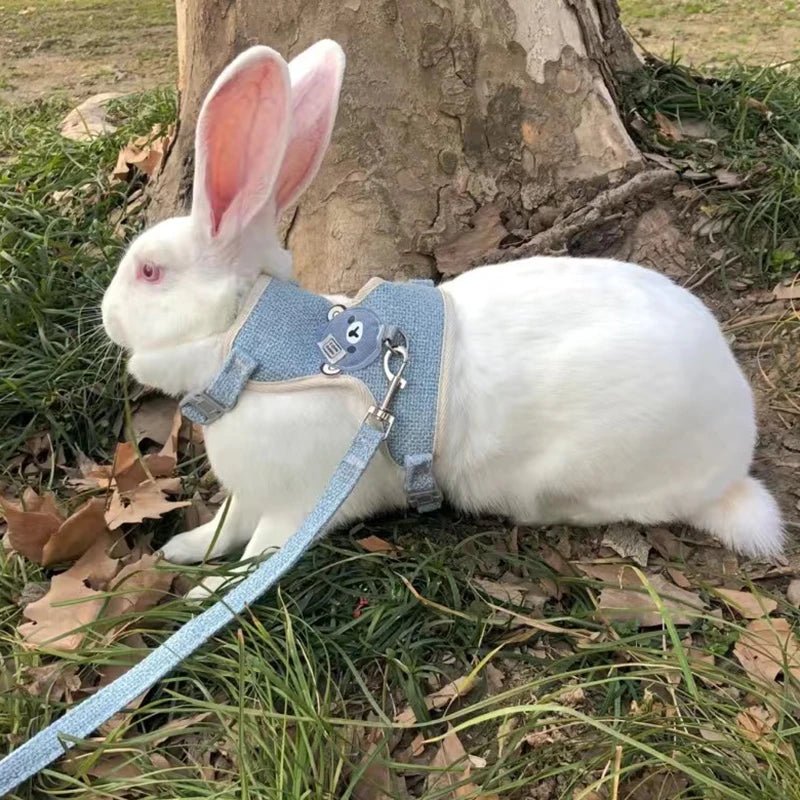 Newest Cute Rabbit Harness and Leash Set Bunny Pet Accessories Vest Harnesses Rabbit Leashes for Outdoor Walking Pets Supplies - Furbury