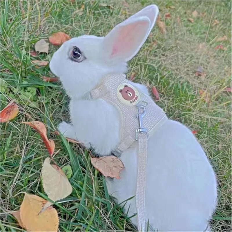 Newest Cute Rabbit Harness and Leash Set Bunny Pet Accessories Vest Harnesses Rabbit Leashes for Outdoor Walking Pets Supplies - Furbury