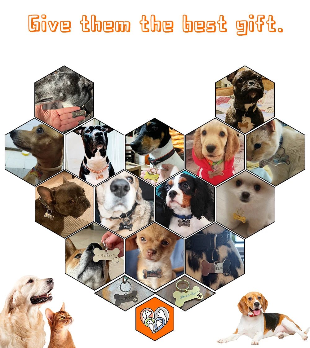 Personalized Pet Dog Tag Shiny Steel Free Engraving Kitten Puppy Anti - lost Collars Nameplate for Dog Address Tag Pet Accessoires - Furbury