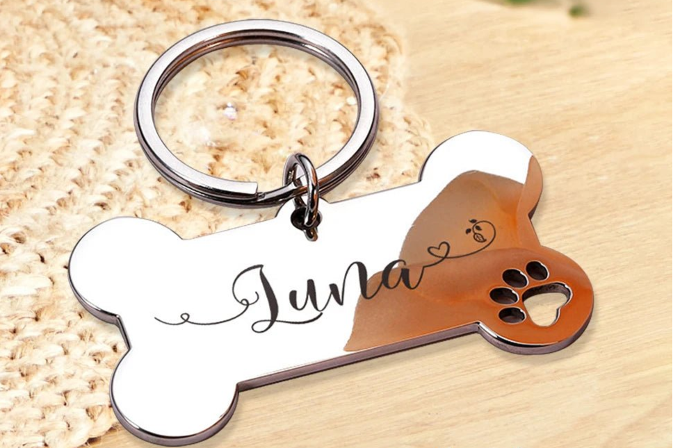 Personalized Pet Dog Tag Shiny Steel Free Engraving Kitten Puppy Anti - lost Collars Nameplate for Dog Address Tag Pet Accessoires - Furbury