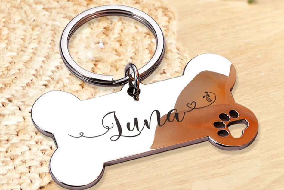 Personalized Pet Dog Tag Shiny Steel Free Engraving Kitten Puppy Anti - lost Collars Nameplate for Dog Address Tag Pet Accessoires - Furbury