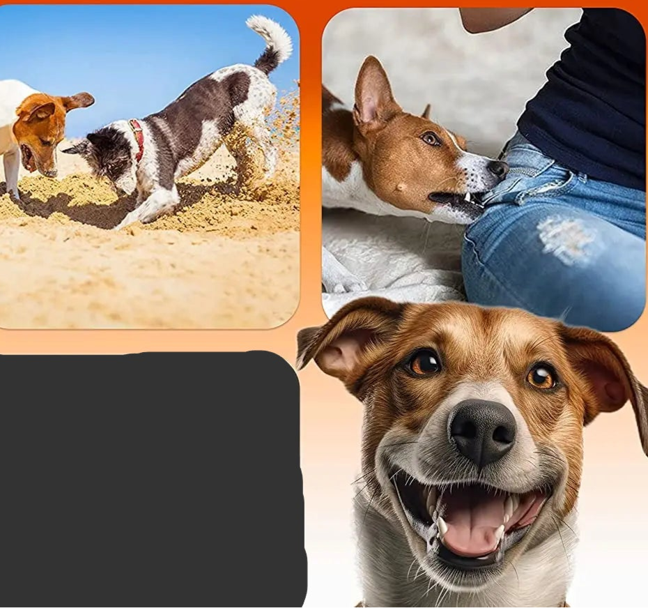 Pet Dog Repeller Ultrasonic Dog Training Device Rechargeable Anti Dog Bark Deterrent Device With LED Flashlight - Checkouts UK