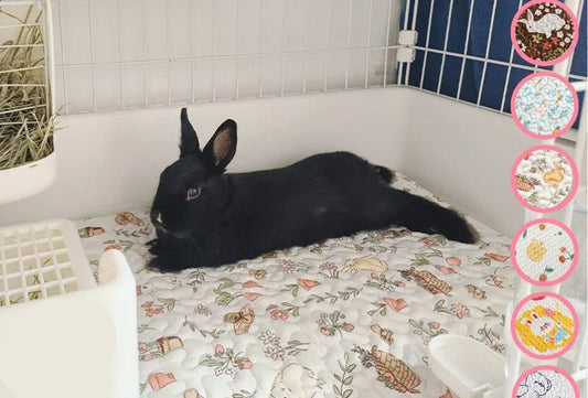Rabbit Floor Mat Pet Sofa Cushion Training Pad Four Seasons Universal Cage Mat Cat Dog Sleeping Blanket Fence Pad Bunny Supplies - Furbury