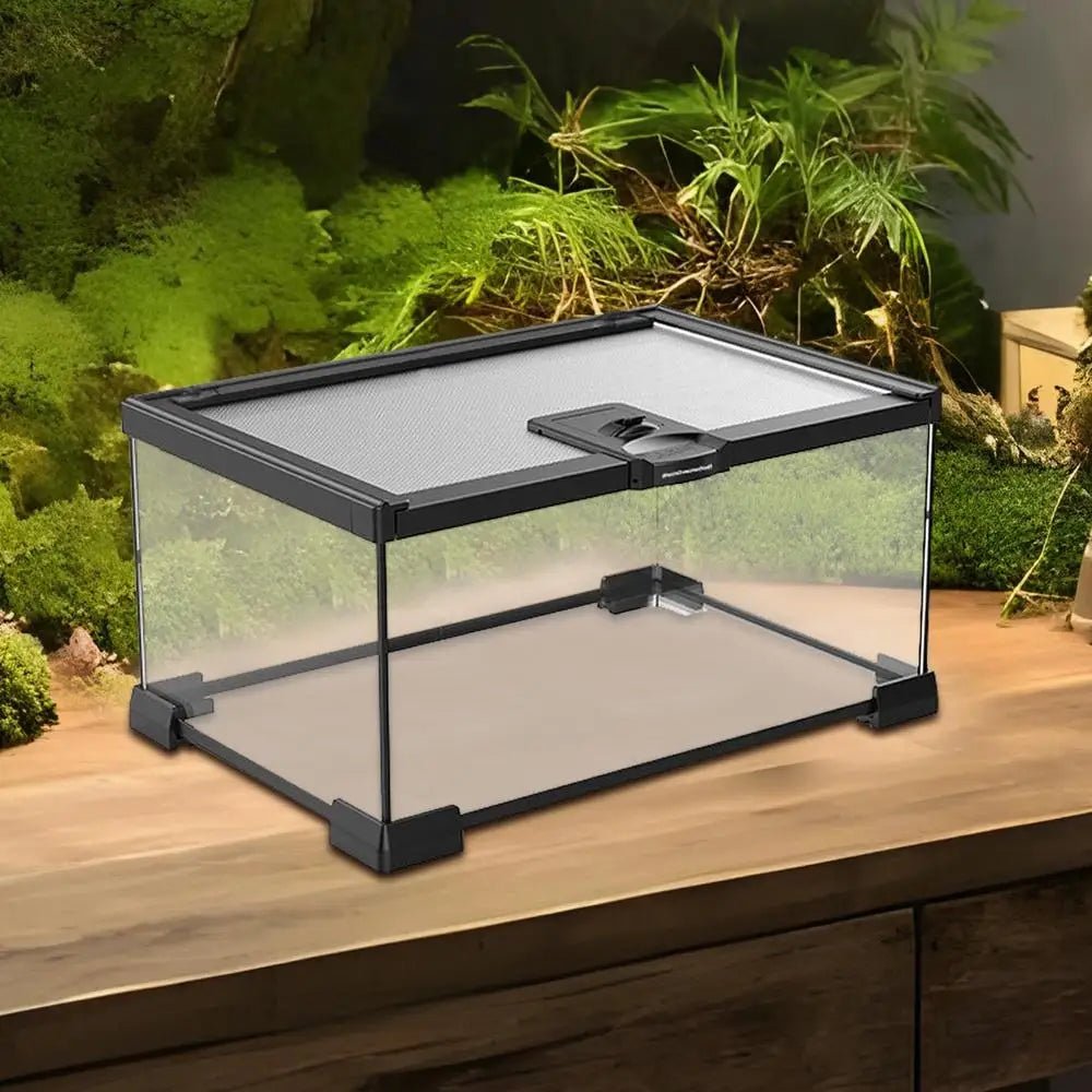Reptile Amphibians Tank Turtle Tank Terrarium Glass Box for Small Pet Keeper Supply Turtles Cage for Sling Geckos Lizards - Furbury