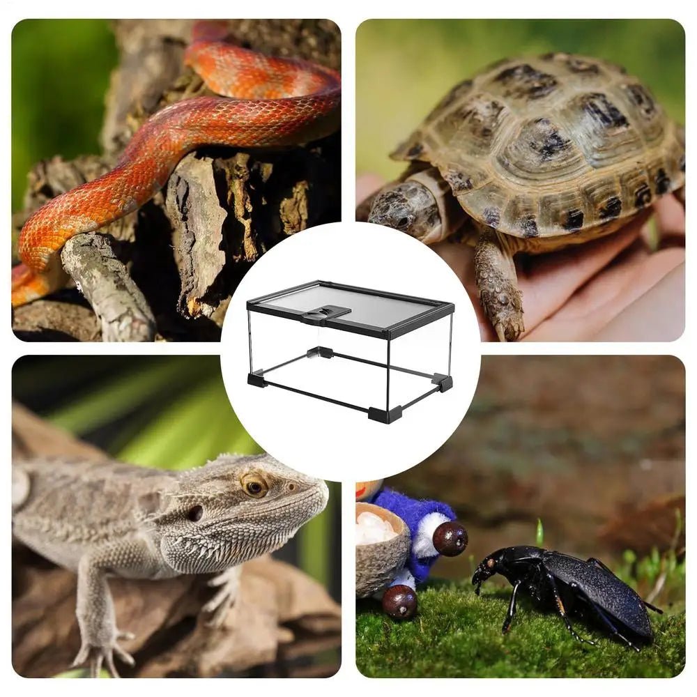 Reptile Amphibians Tank Turtle Tank Terrarium Glass Box for Small Pet Keeper Supply Turtles Cage for Sling Geckos Lizards - Furbury