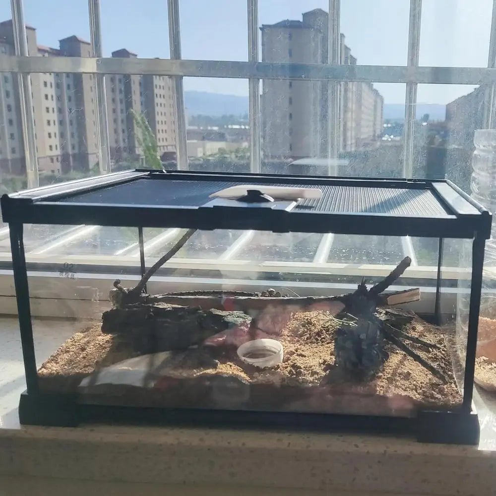 Reptile Amphibians Tank Turtle Tank Terrarium Glass Box for Small Pet Keeper Supply Turtles Cage for Sling Geckos Lizards - Furbury