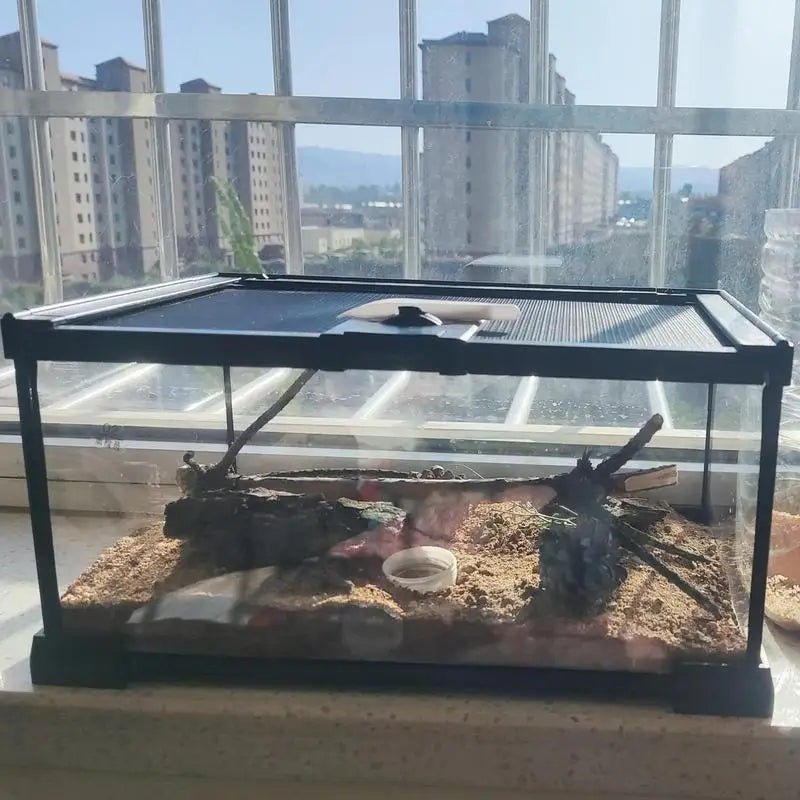 Reptile Amphibians Tank Turtle Tank Terrarium Glass Box for Small Pet Keeper Supply Turtles Cage for Sling Geckos Lizards - Furbury