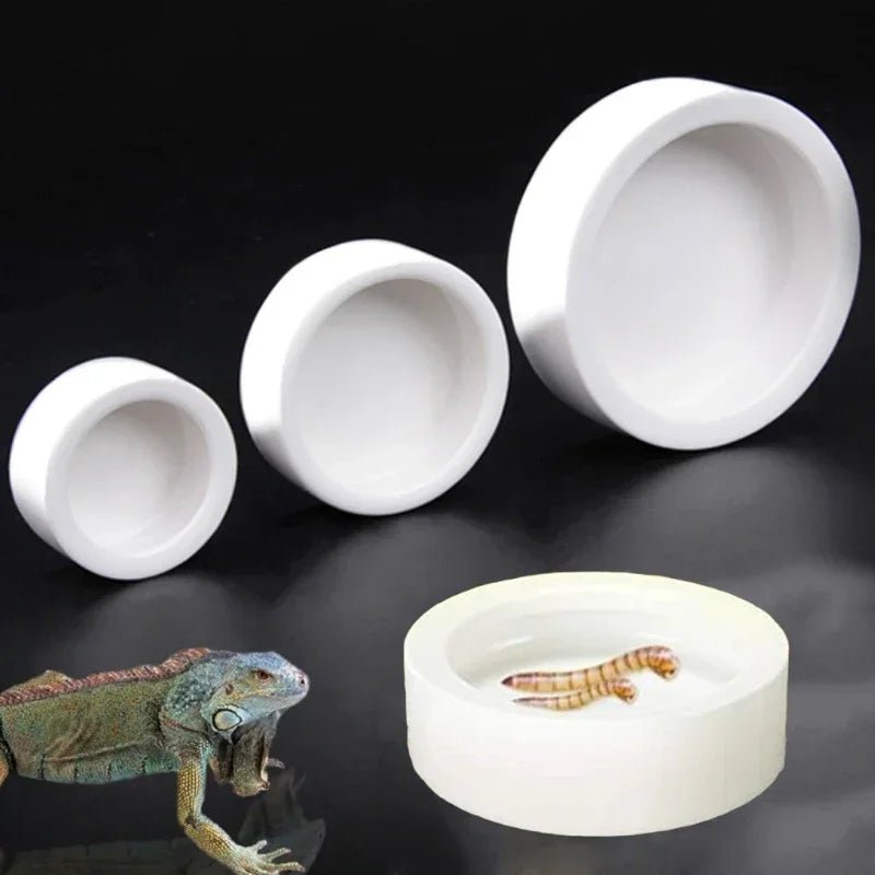 Reptile Food Bowl Anti - Escape Ceramic Feeder Dish Reptile Water Bowl for Hermit Crab Leopard Gecko Chameleon Corn Snake Y5GB - Furbury