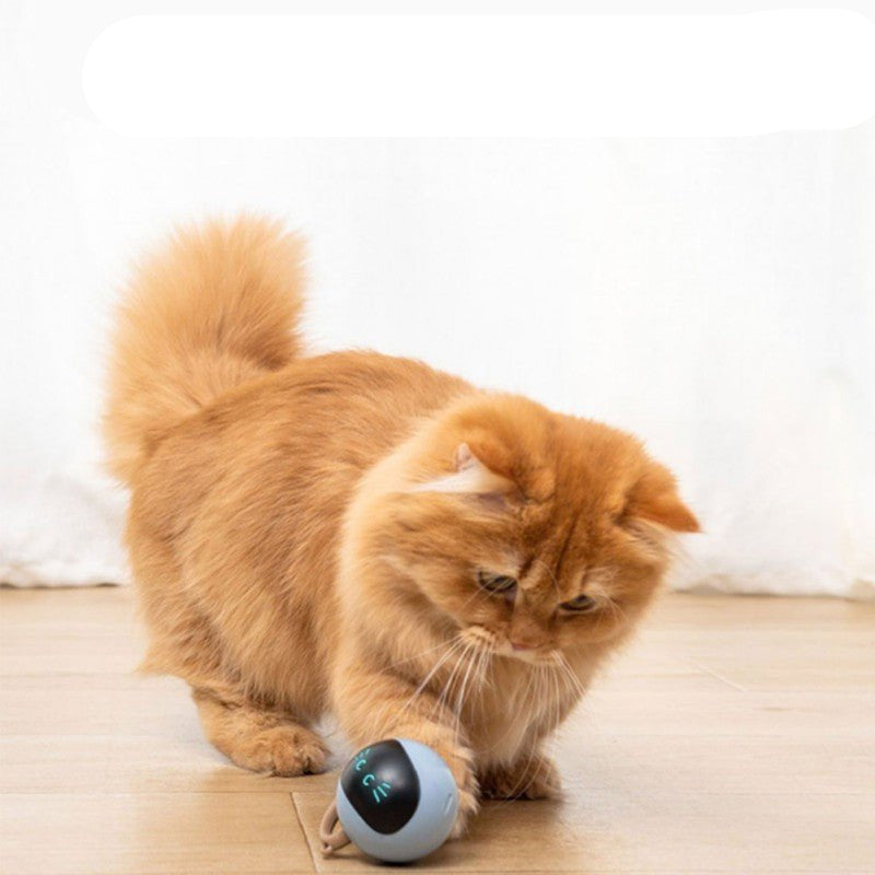 Smart Cat Toy USB Rechargeable Kitten Automatic Ball Toys Electric Jumping Ball Self Rotating Toys For Cat Kitten Dog Puppy Kids - Checkouts UK