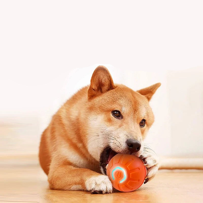 Smart Dog Toy Ball Electronic Interactive Pet Toy Moving Ball USB Automatic Moving Bouncing for Puppy Birthday Gift Cat Product - Furbury