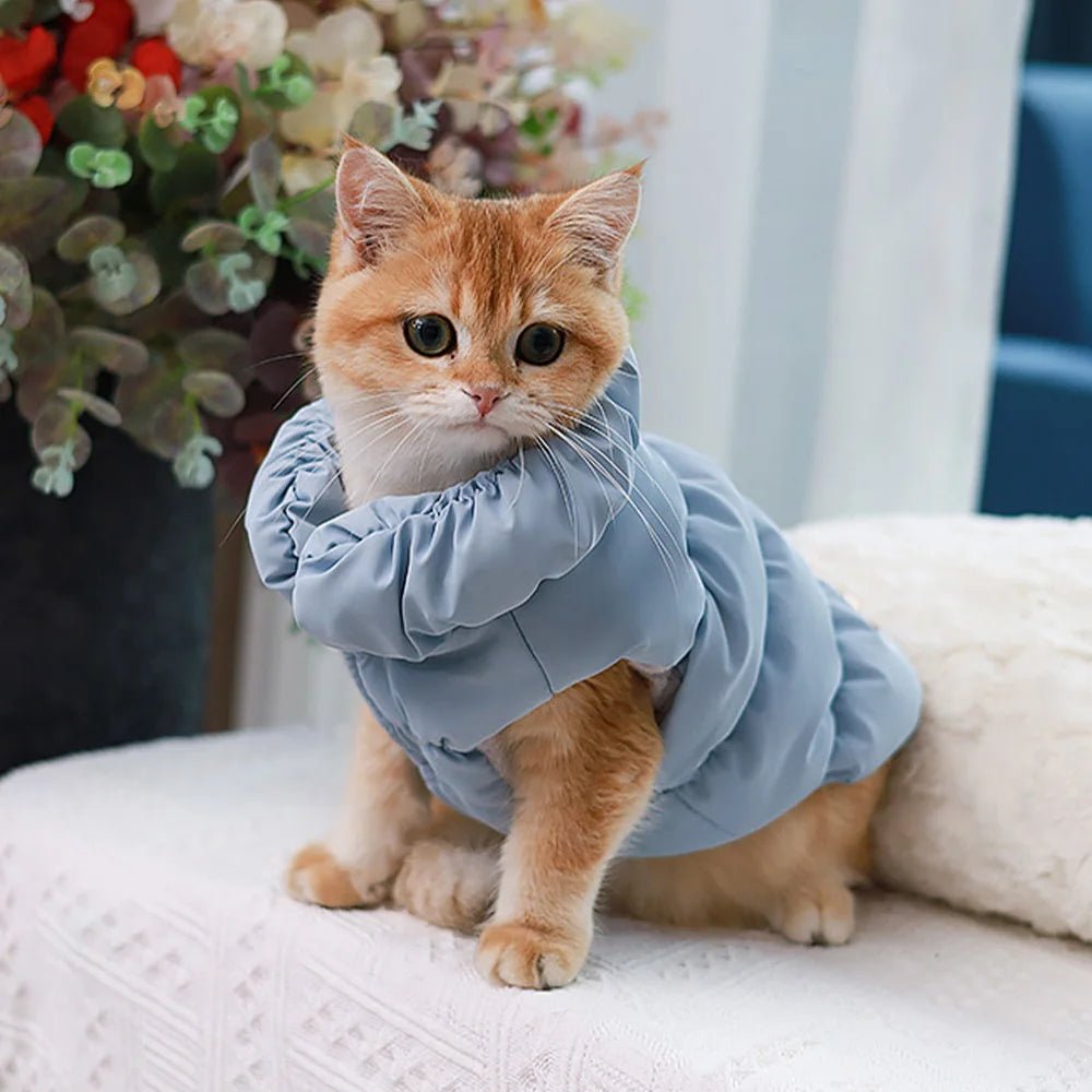 Soft Warm Dog Clothes Winter Padded Puppy Cat Coat Jacket For Small Medium Dogs Chihuahua French Bulldog Poodle Vest Pet Outfit - Furbury
