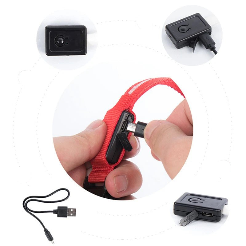 USB Rechargeable Luminous Collar Adjustable Led Glowing Dog Collar for Large Small Dogs Cat Night Light Collar Pet Safety Harnes - Checkouts UK