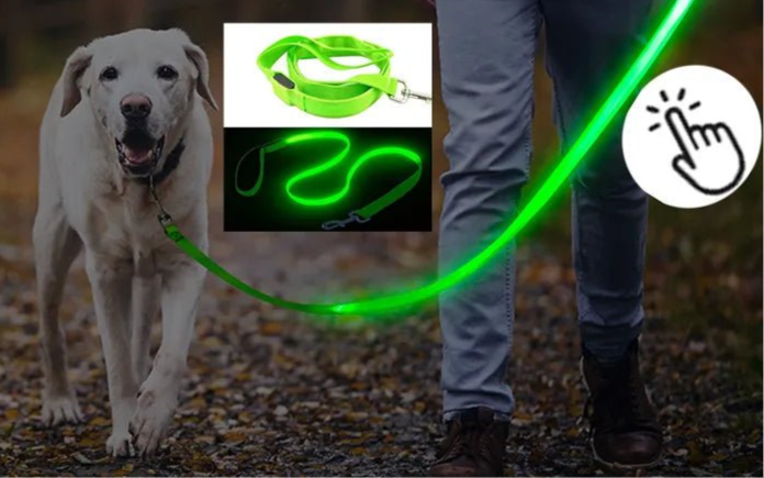 USB Rechargeable Luminous Collar Adjustable Led Glowing Dog Collar for Large Small Dogs Cat Night Light Collar Pet Safety Harnes - Checkouts UK