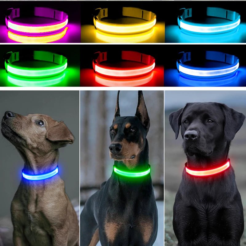 USB Rechargeable Luminous Collar Adjustable Led Glowing Dog Collar for Large Small Dogs Cat Night Light Collar Pet Safety Harnes - Checkouts UK