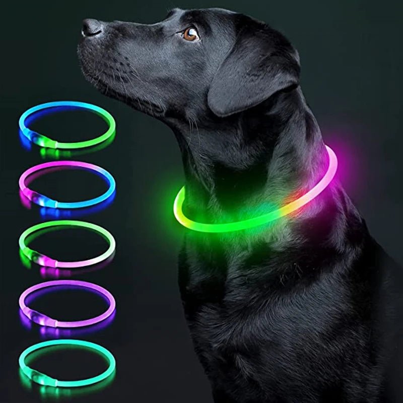 USB Rechargeable Luminous Collar Adjustable Led Glowing Dog Collar for Large Small Dogs Cat Night Light Collar Pet Safety Harnes - Checkouts UK