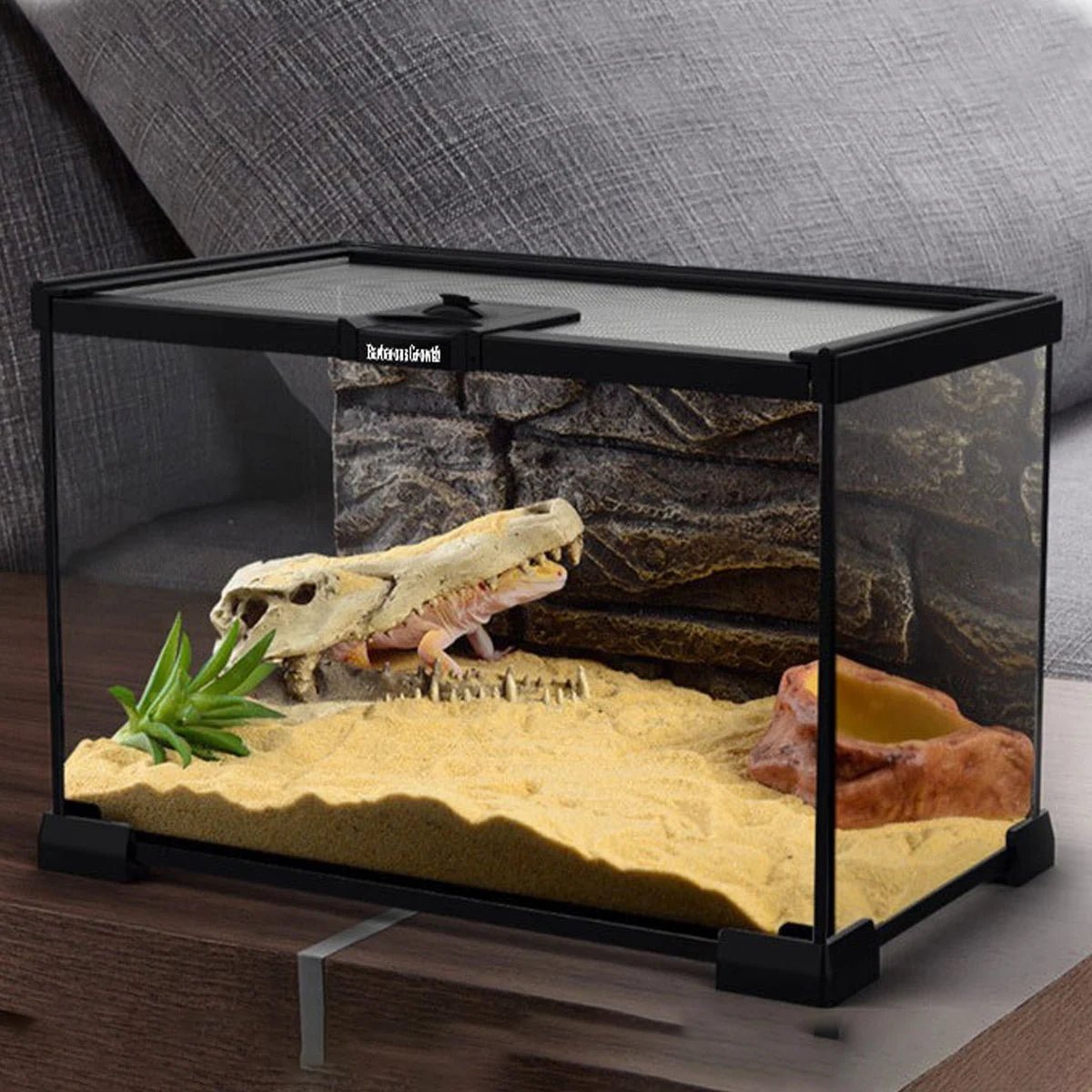 Wholesale Bulk 1 Piece Reptile Pet Glass Tank Stackable Lizard Gecko Beetle Spider Feeding Rainforest Landscaping Breeding Tank Ornamental Tank - Furbury