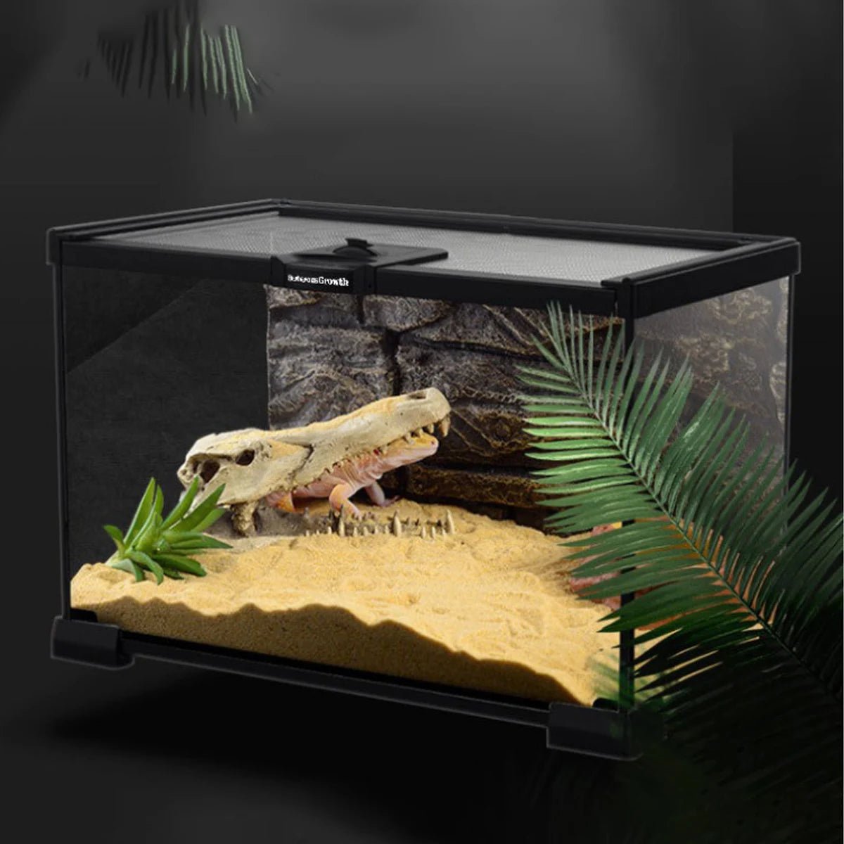 Wholesale Bulk 1 Piece Reptile Pet Glass Tank Stackable Lizard Gecko Beetle Spider Feeding Rainforest Landscaping Breeding Tank Ornamental Tank - Furbury