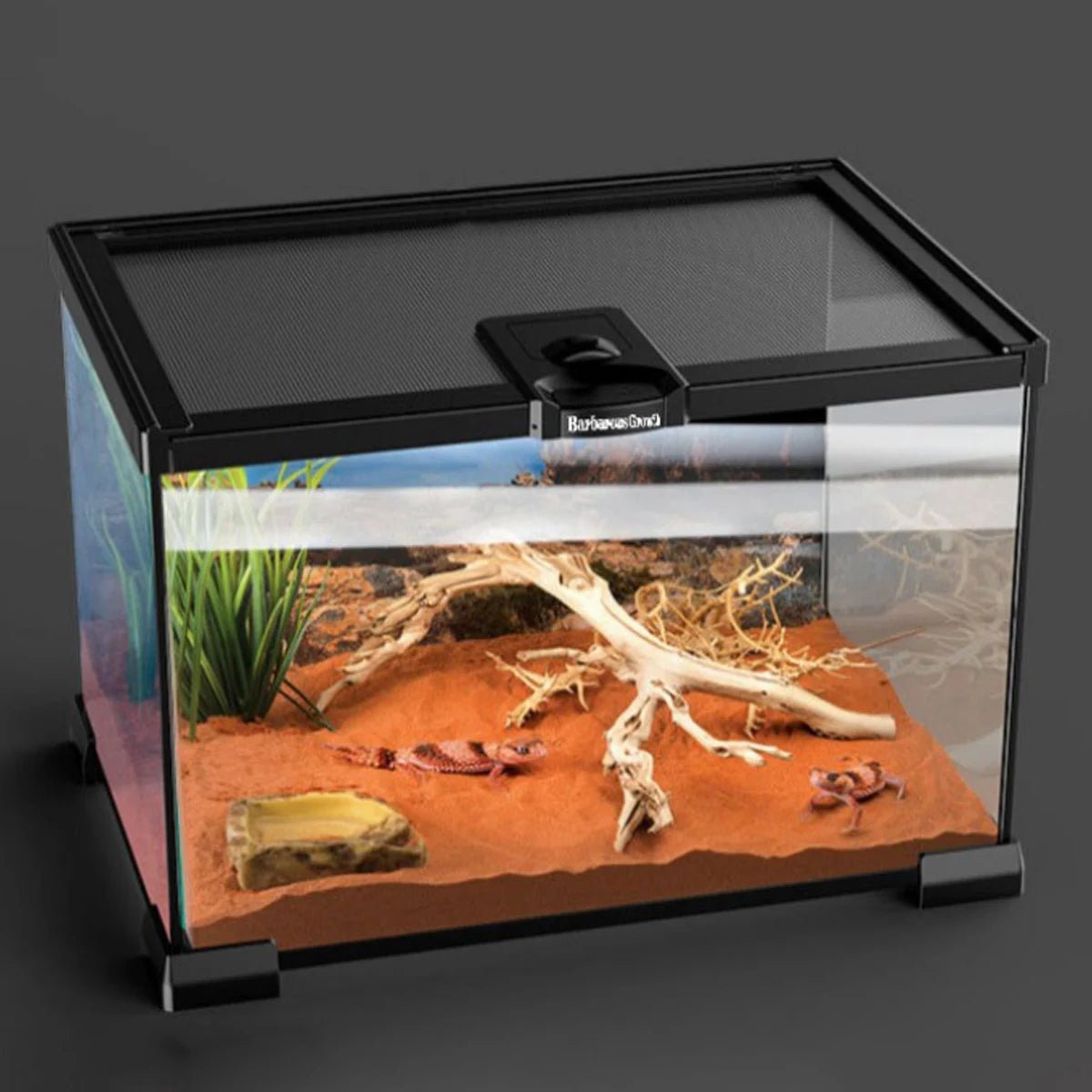Wholesale Bulk 1 Piece Reptile Pet Glass Tank Stackable Lizard Gecko Beetle Spider Feeding Rainforest Landscaping Breeding Tank Ornamental Tank - Furbury