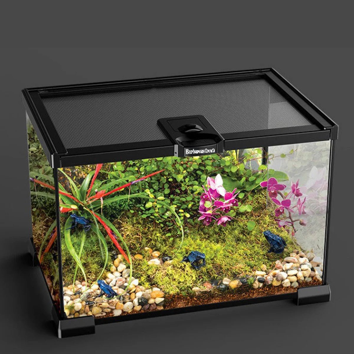 Wholesale Bulk 1 Piece Reptile Pet Glass Tank Stackable Lizard Gecko Beetle Spider Feeding Rainforest Landscaping Breeding Tank Ornamental Tank - Furbury