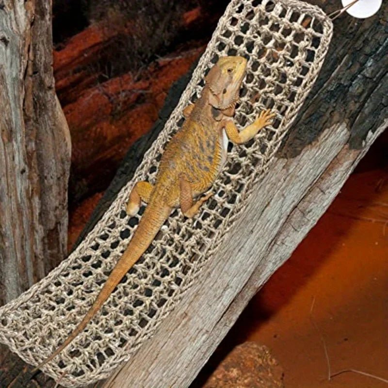 Wholesale Bulk 1PC Bearded Dragon Hammock Reptile Lounger for Chameleon Lizards Gecko Snakes Lguana Reptiles Geckos Grass Cushion Pet Bed Swing - Furbury