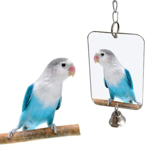 Wholesale Bulk 1Pc Parrot Bird Parakeet Hanging Mirror Bell Play Toy Cage Decoration Pet Supplies - Furbury